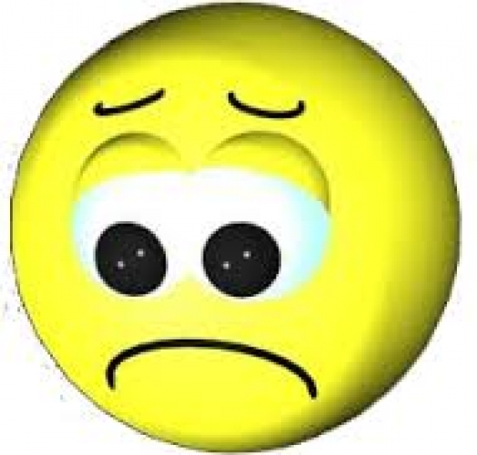 Les équipes du vendredi au tapis