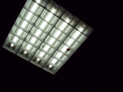 A.G. RAQUETTE 2010 125