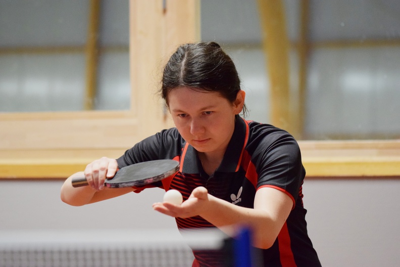 Brécé_Ping-Pong_(8).JPG